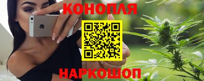 Альфа ПВП Заводоуковск