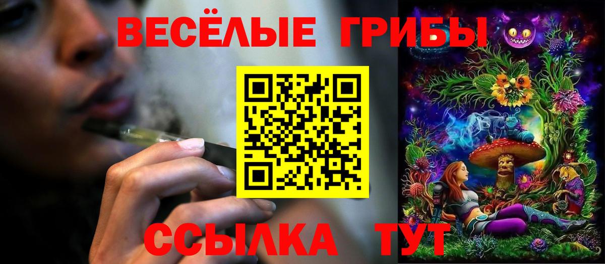 Псилоцибиновые грибы Psilocybine cubensis  Вход с VPN  даркнет сайт  Благовещенск 