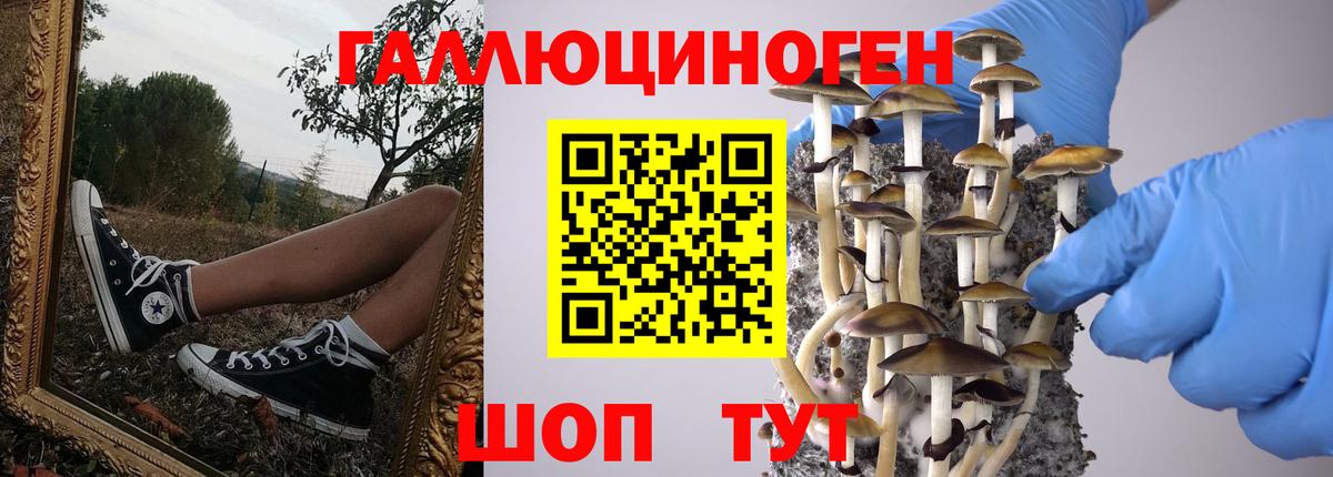 Псилоцибиновые грибы мухоморы Благовещенск